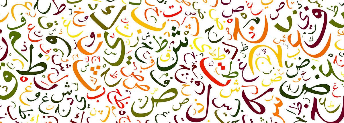 history of saraiki language history of saraiki language